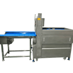 Descriptive alt text for image 2 - This image shows important visual content that enhances the user experience and provides context for the surrounding text.