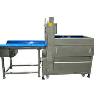 Descriptive alt text for image 2 - This image shows important visual content that enhances the user experience and provides context for the surrounding text.